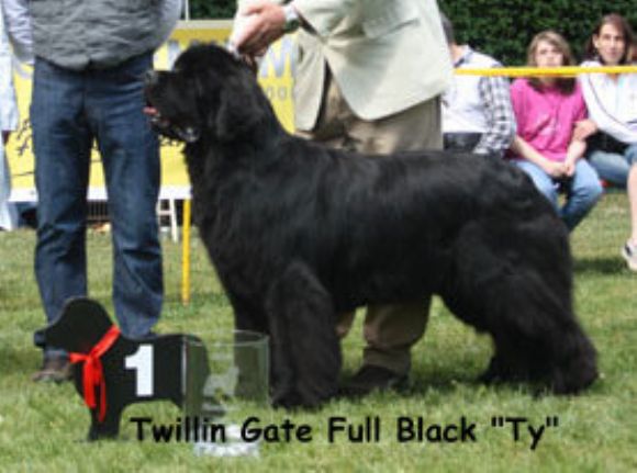 R Twillin Gate Full Black (01-02-2006)